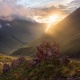 Күн ачык болот. Эртеңкиге карата аба ырайы