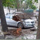 Бишкекте катуу шамалдан улам Honda унаасын бак басып калды