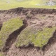 Көмүр казуучу ишкана Кара-Суунун Загара жайлоосунда жер кыртышын бузуп жол салды (фото)