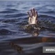 Кочкордо 36 жаштагы жаран сууга чөгүп каза болду