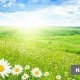 6-июлда өлкө аймагында күн ачык болот