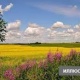 8-июлда өлкө аймагында күн ачык болот