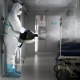 Соңку күндө 85 адам коронавирус менен ооруп калды