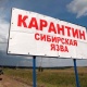 Мал сыртка чыгарылбайт. Таластын Шекер айылына ветеринардык карантин киргизилди