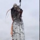 Чилиде кырсыктын жарчысы делген балык кармалды (видео)