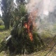 Өлкөдө 70 тоннадан ашуун кара куурай өрттөлдү