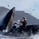 Калифорнияда кит эки туристти жутуп алууга аракет кылды (видео)
