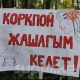 Эки эркек зордуктады делген 17 жаштагы кыздын жакындары билдирүү жасады