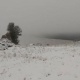 Казакстандын бийик тоолуу аймагына кар жаады