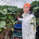Шотландияга кулпунай тергени барган кыргыз айымы: "Фермадагы жумуш келишимде айтылгандай болбой калды" (маек)