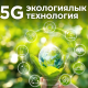 Эмне үчүн эксперттер 5G технологиясын жашыл IT-технологиясы деп аташат?