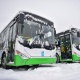 Бишкекке газ менен жүргөн 20 автобус алып келинди (сүрөт)