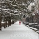 Жума күнгө карата аба ырайы