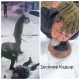 Ошто арматура менен сабалып каза болгон жаран: Кылмышка шектелип Женго кармалды (толук маалымат)