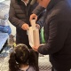 Президент аз камсыз болгон үй-бүлөнүн балдарына жаңы жылдык белектерди берди