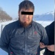 Ошто адам өлтүрүүгө шектелген дагы бир жаран кармалды (видео)