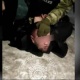 Ошто адам өлтүрүүгө шектелген төртүнчү жаран Бишкектен кармалды (видео)