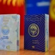 Садыр Жапаров 1920 адамды Кыргызстандын жарандыгына кабыл алуу боюнча жарлыкка кол койду