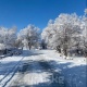 Бейшембиге карата аба ырайы тууралуу маалымат