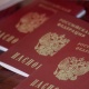 Орусиянын жарандыгын алган кыргызстандыктар Орусиядан чыгарылбай жатканы айтылды