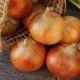Өлкөдө пияз экспортуна коюлган чектөөнү алуу сунушталды
