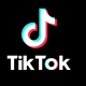 Канадада мамлекеттик кызматкерлерге TikTok колдонууга тыюу салынды