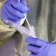 Өлкөдө бир жумада коронавирустун 32 жаңы учуру катталды
