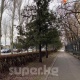 14-мартка карата аба ырайы тууралуу маалымат