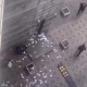 Москвадагы көп кабаттуу үйлөрдүн биринен доллар менен евро жаады (видео)