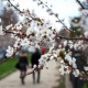 25-мартка карата аба ырайы тууралуу маалымат