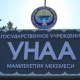 Караколдо &ldquo;Унаа&rdquo; мекемесинин кызматкерлери жоопкерчиликке тартылды