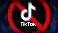 Кыргызстанда ТикТок жабылышы мүмкүн. Белгилүүлөр эмне дешет?